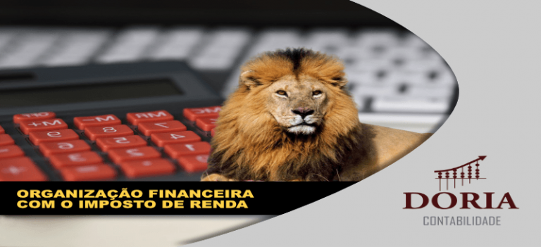 Organização Financeira com o Imposto de Renda: é possível?