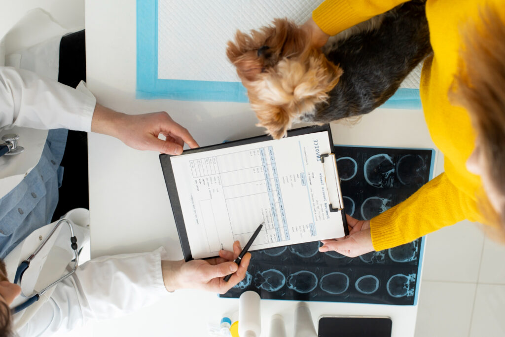 Contabilidade para Clínicas Veterinárias em São Paulo: reduza custos e aumente a rentabilidade