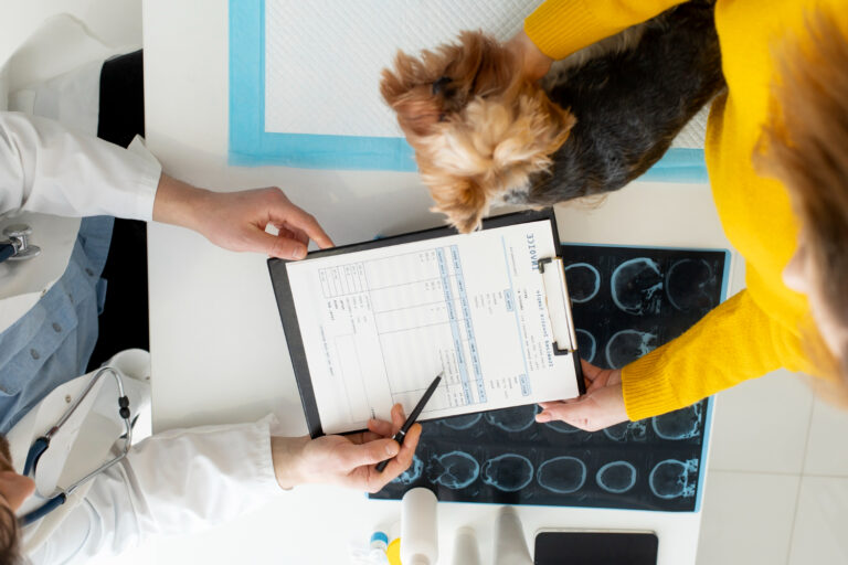Contabilidade para Clínicas Veterinárias em São Paulo reduza custos e aumente a rentabilidade
